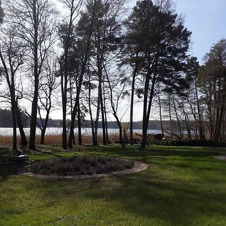 Penthouse Bernd Im Waldschloesschen Direkt Am See Wendisch Rietz Luaran gambar