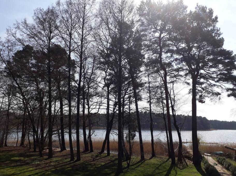 Penthouse Bernd Im Waldschloesschen Direkt Am See Wendisch Rietz Luaran gambar